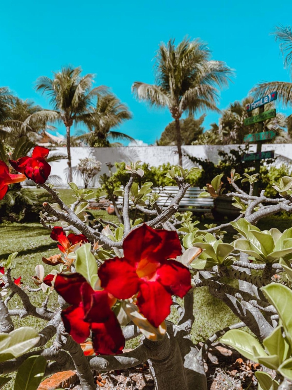 Pousada La Goduria Main image